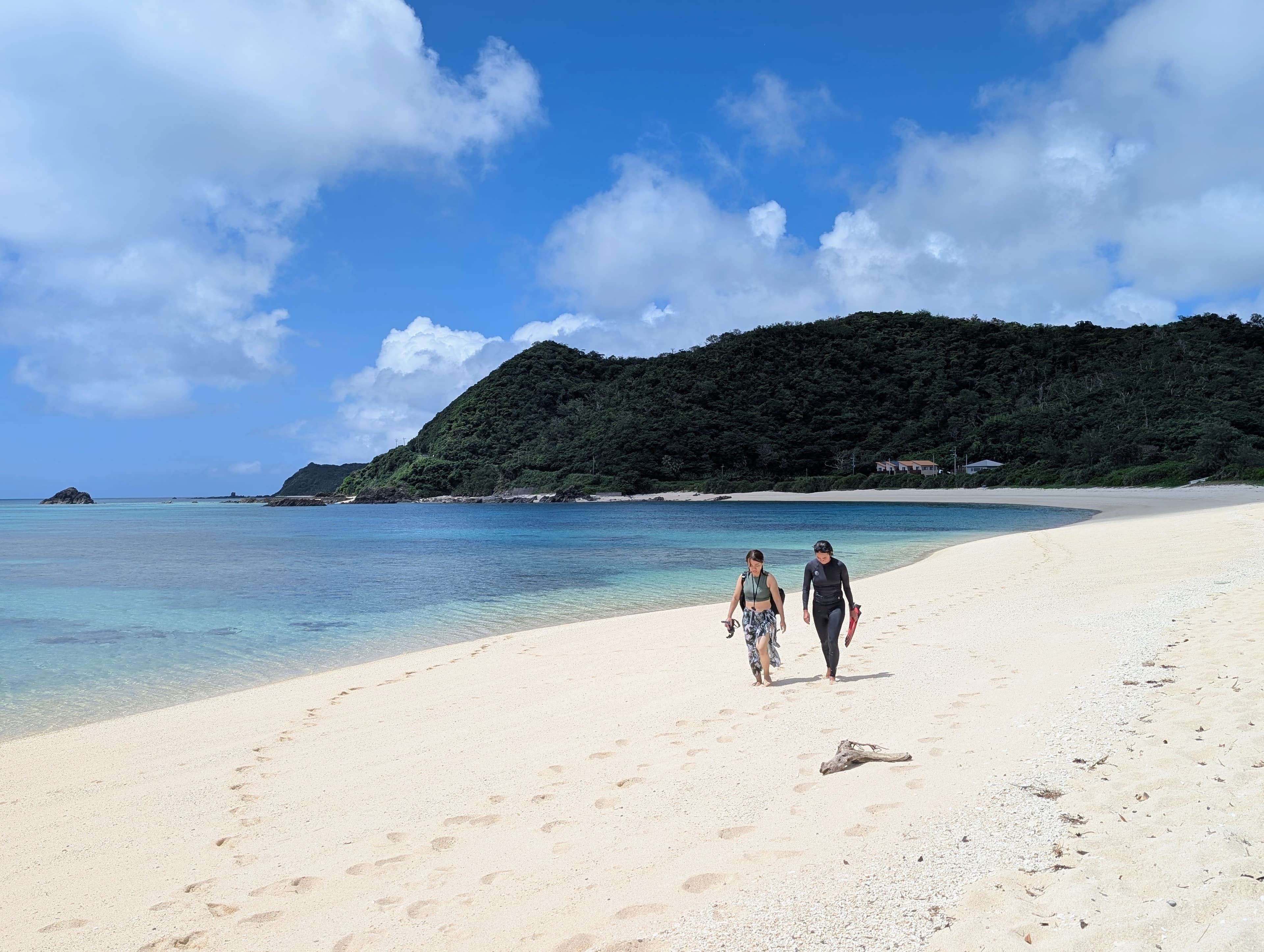 Coastal beach