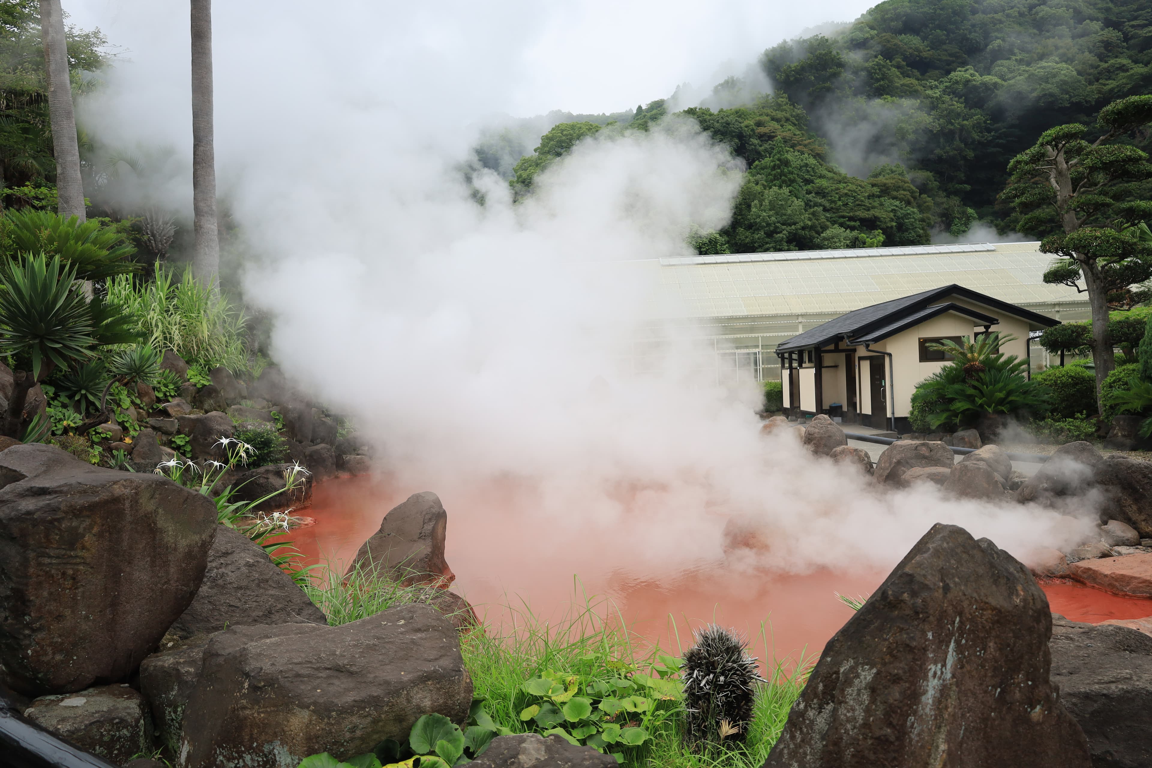 Steaming hot spring